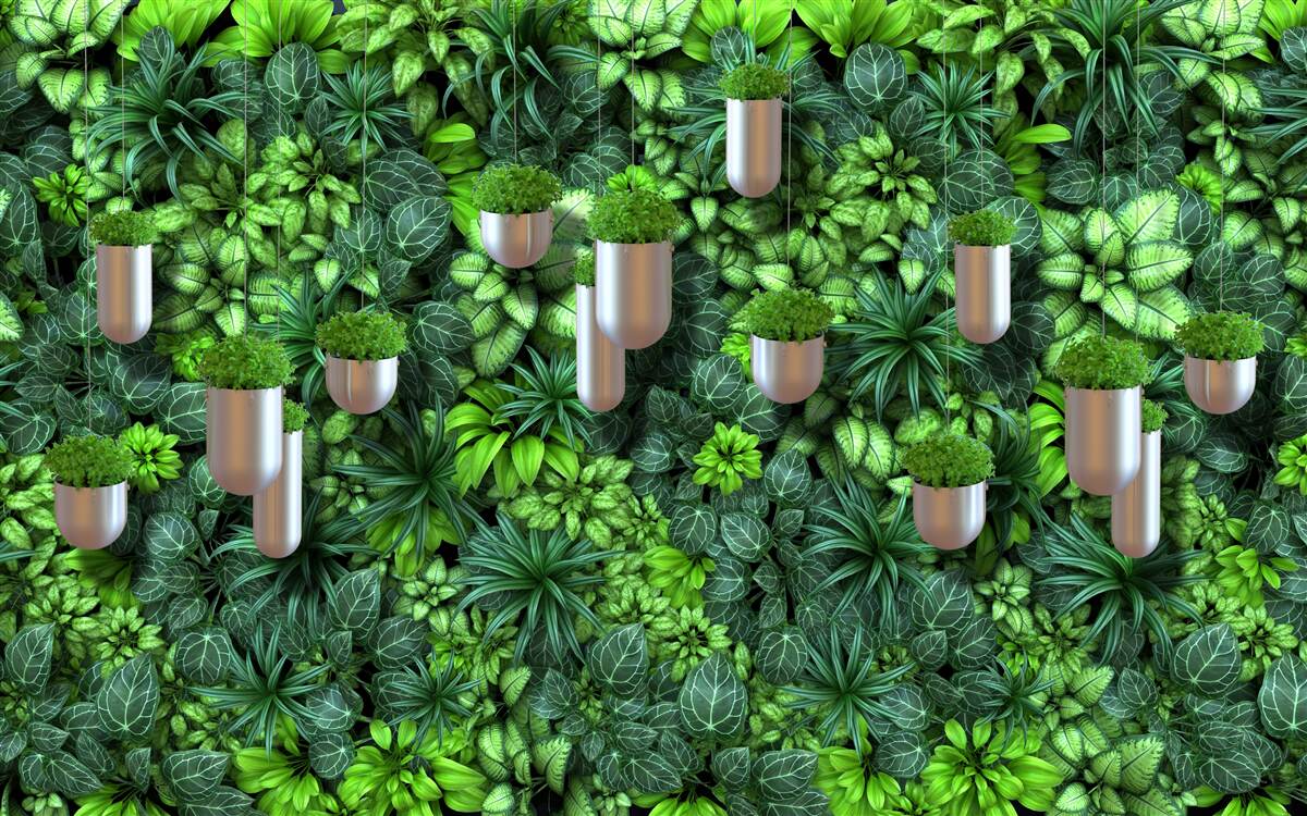 Fototapeta phytowall z doniczkami w odcieniach zieleni