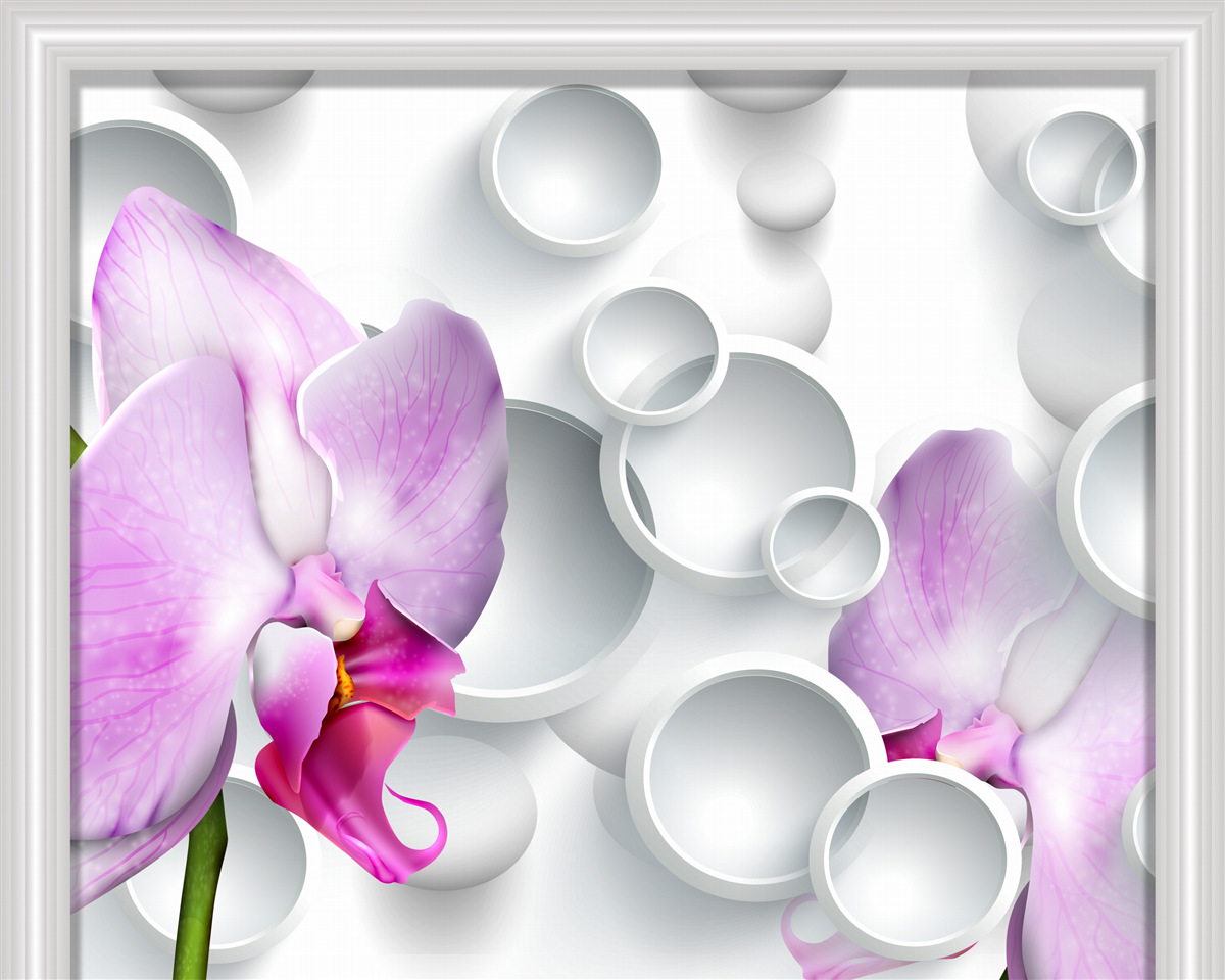 Fototapeta miękka różowa orchidea z pierścieniami