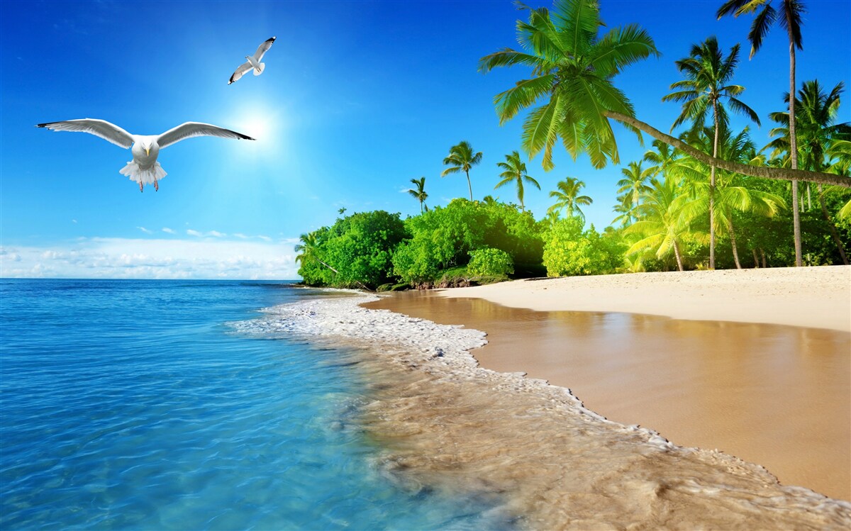 Fototapeta idylliczne położenie nad oceanem