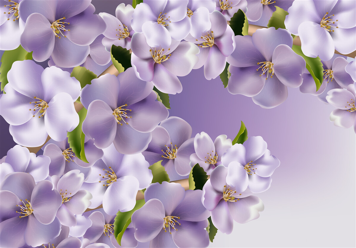 Fototapeta subtelne odcienie bzu w delikatnym kwiecie orchidei