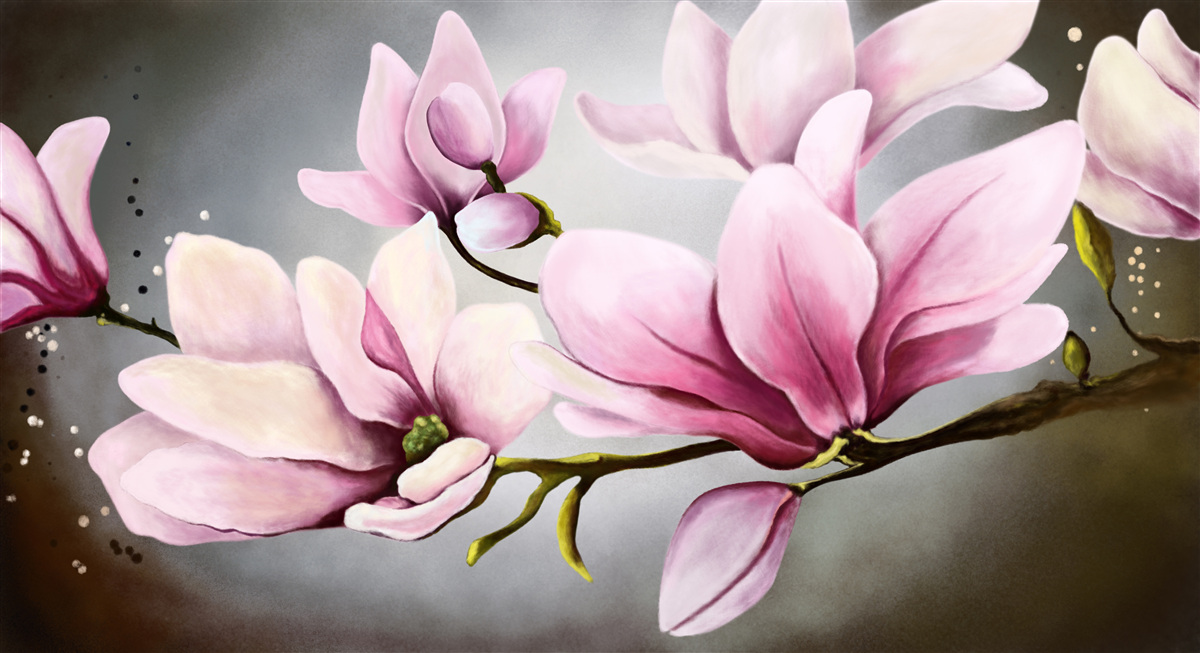 Fototapeta magnolie o subtelnym aromacie