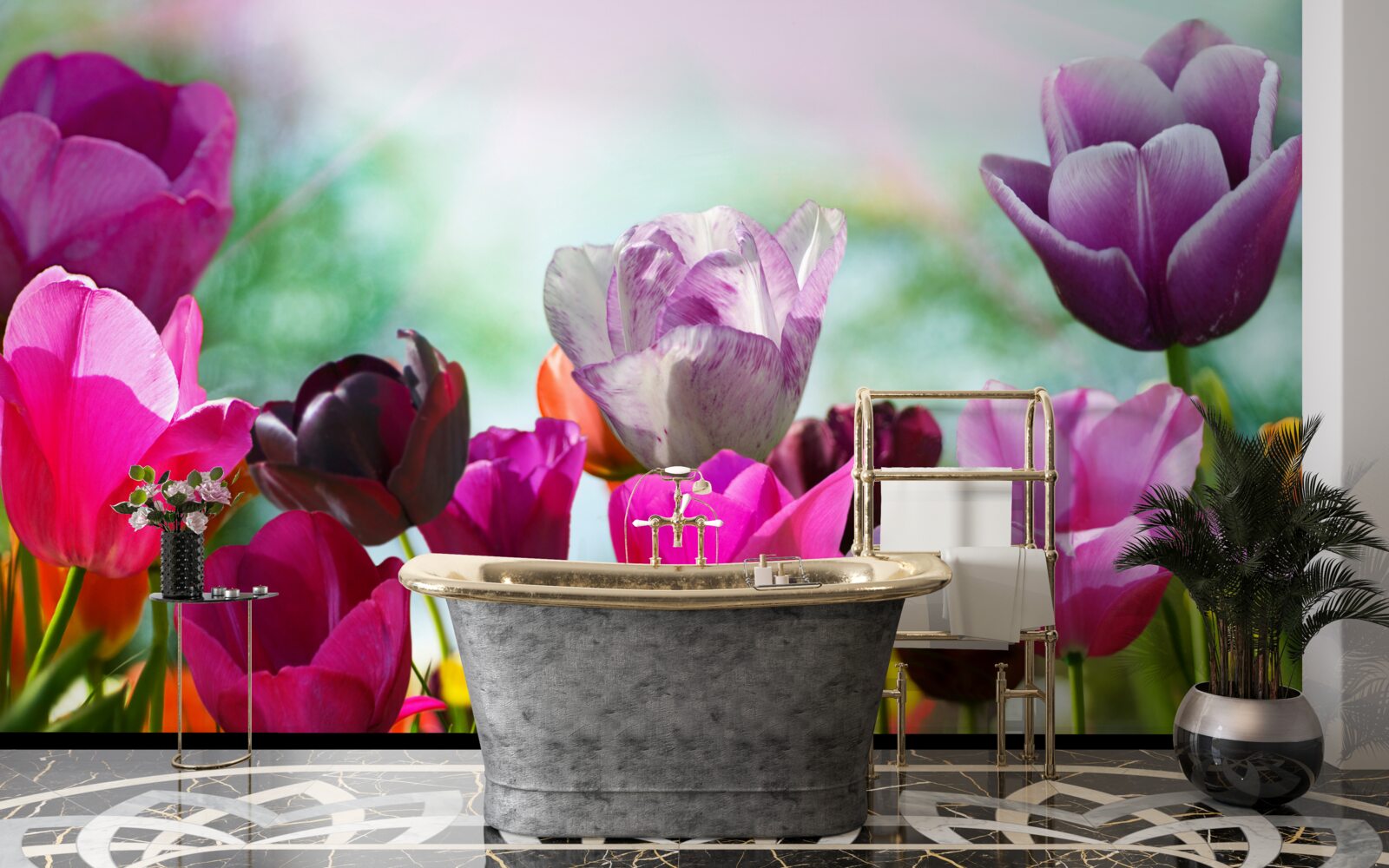 Fototapeta tulipany w różnych kolorach