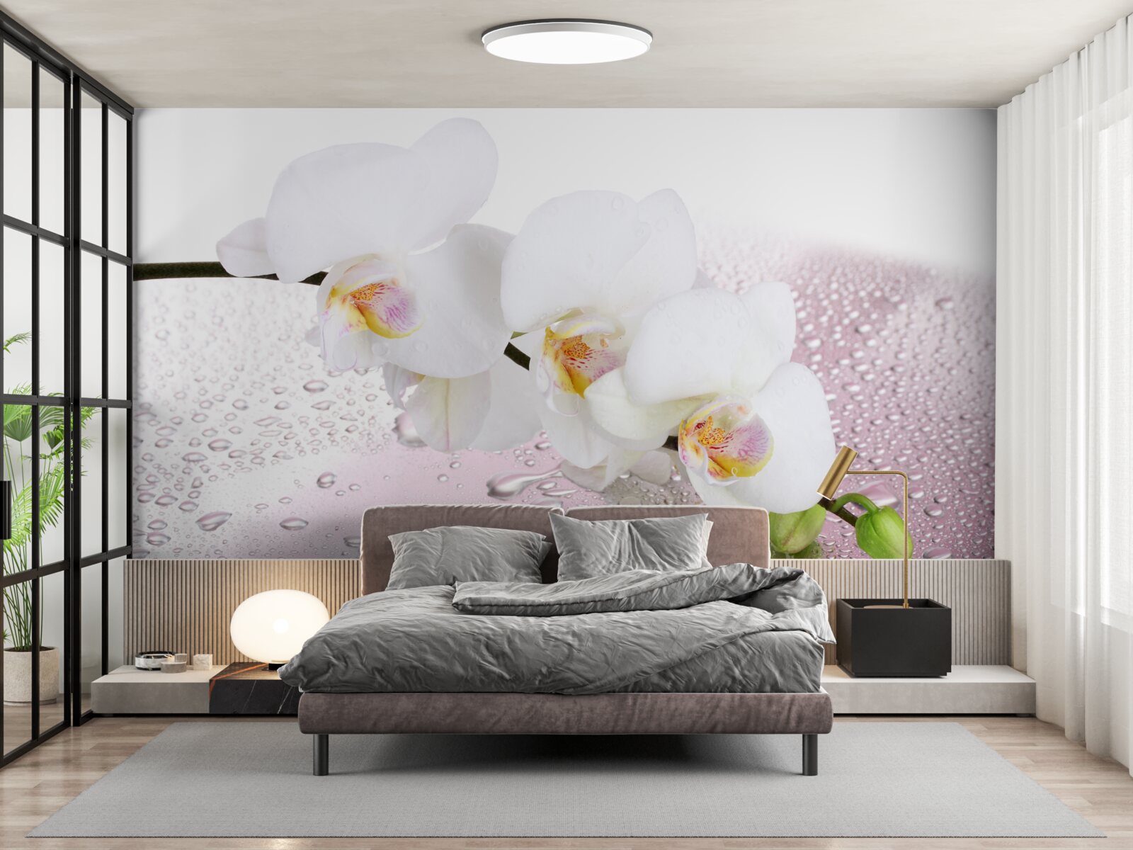 Fototapeta mokra biała gałązka orchidei ozdobiona kroplami wody