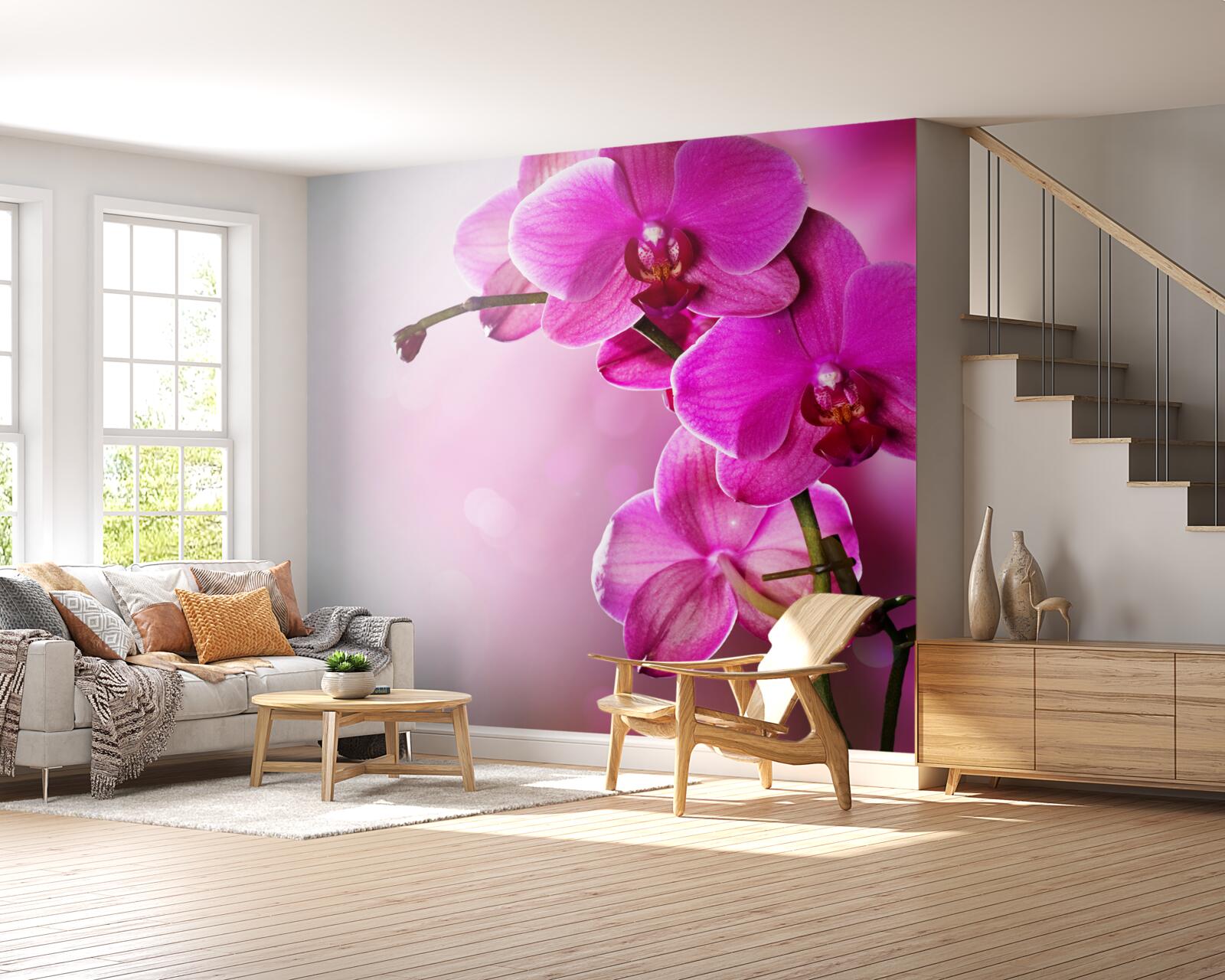 Fototapeta orchidee i pączek bzu