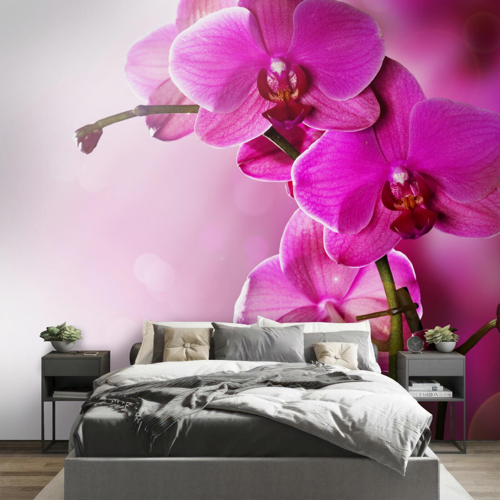 Fototapeta orchidee i pączek bzu
