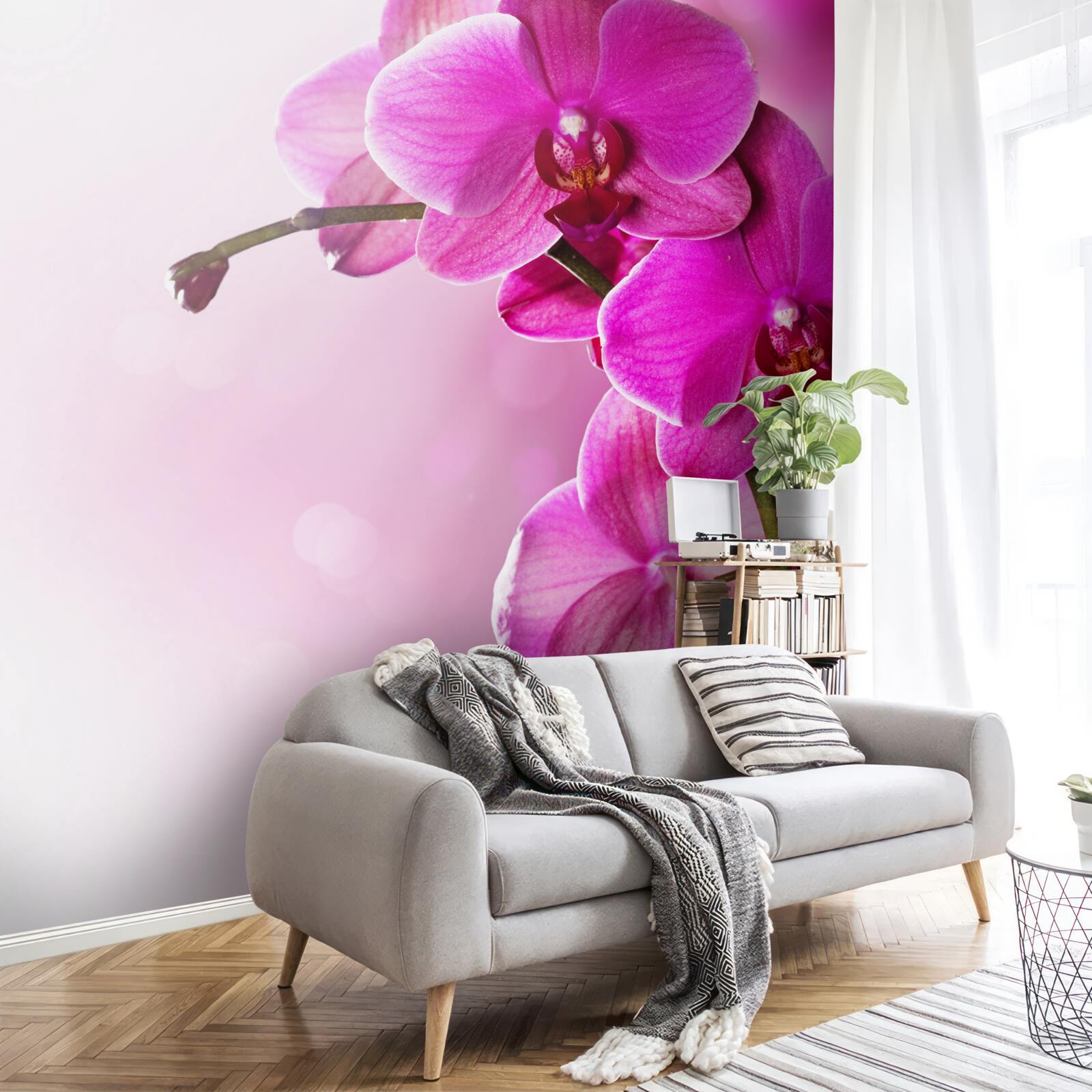 Fototapeta orchidee i pączek bzu