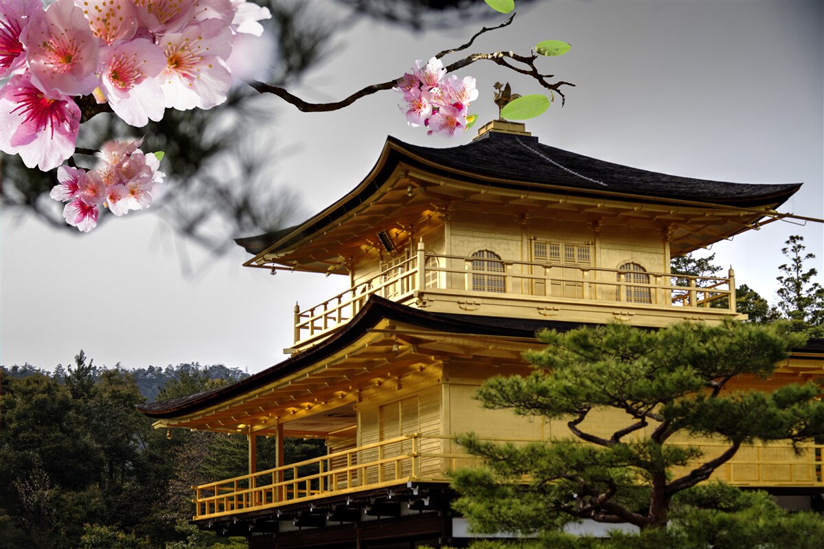 Fototapeta sakura i klasztor buddyjski