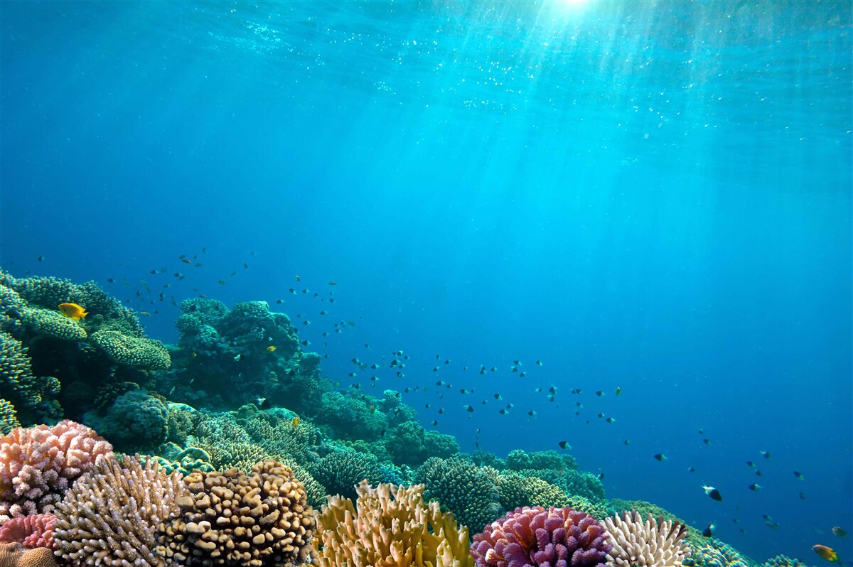 Fototapeta wody głębin oceanu