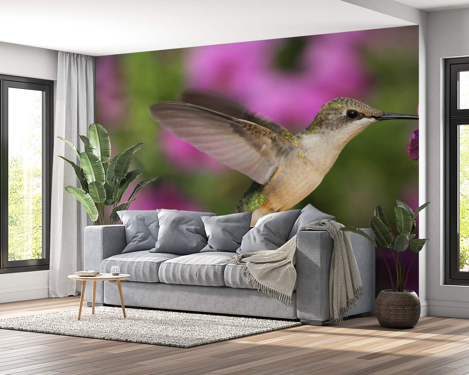 Fototapeta nektar gasi pragnienie kolibrów