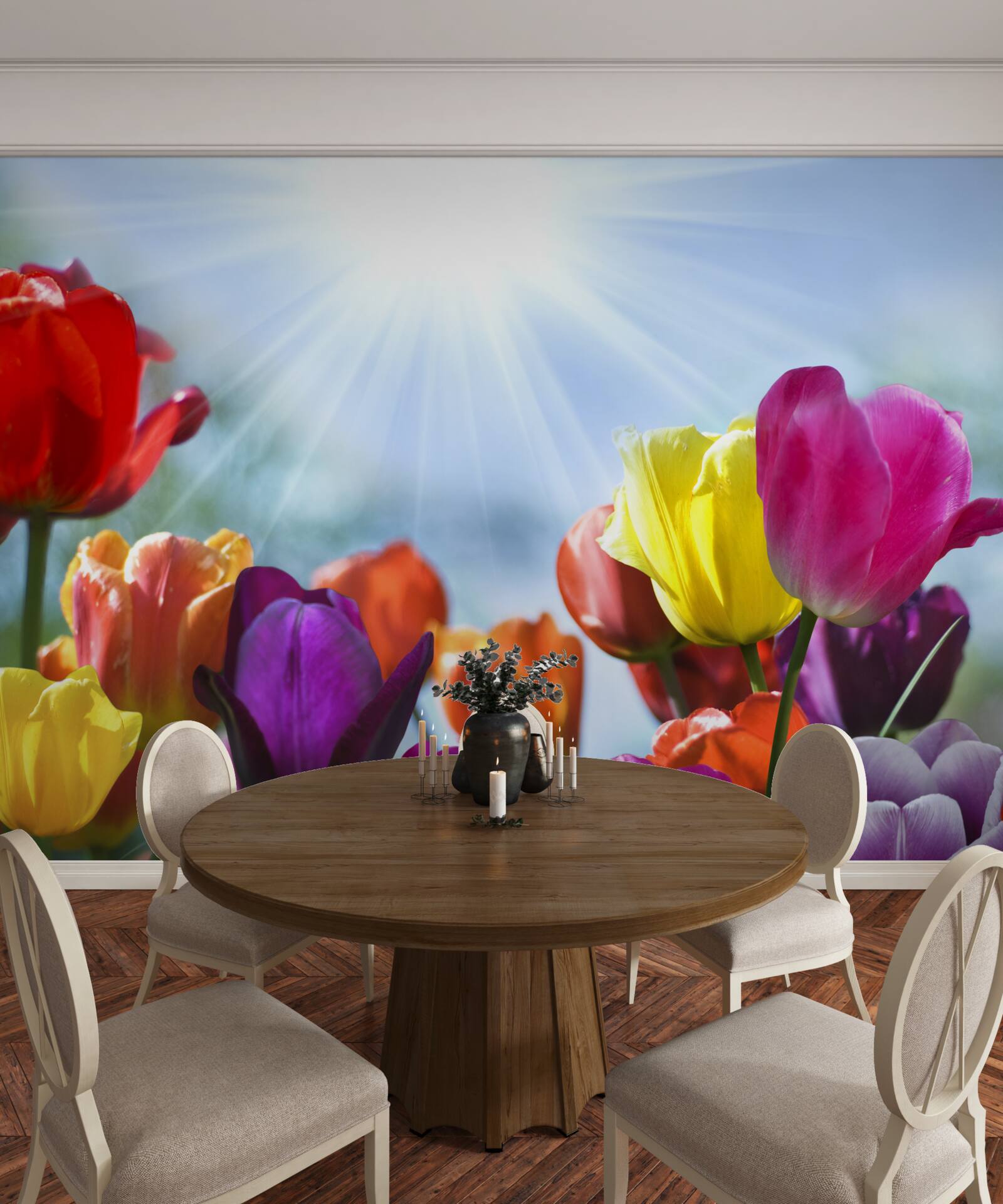 Fototapeta tulipany w różnych kolorach w słońcu