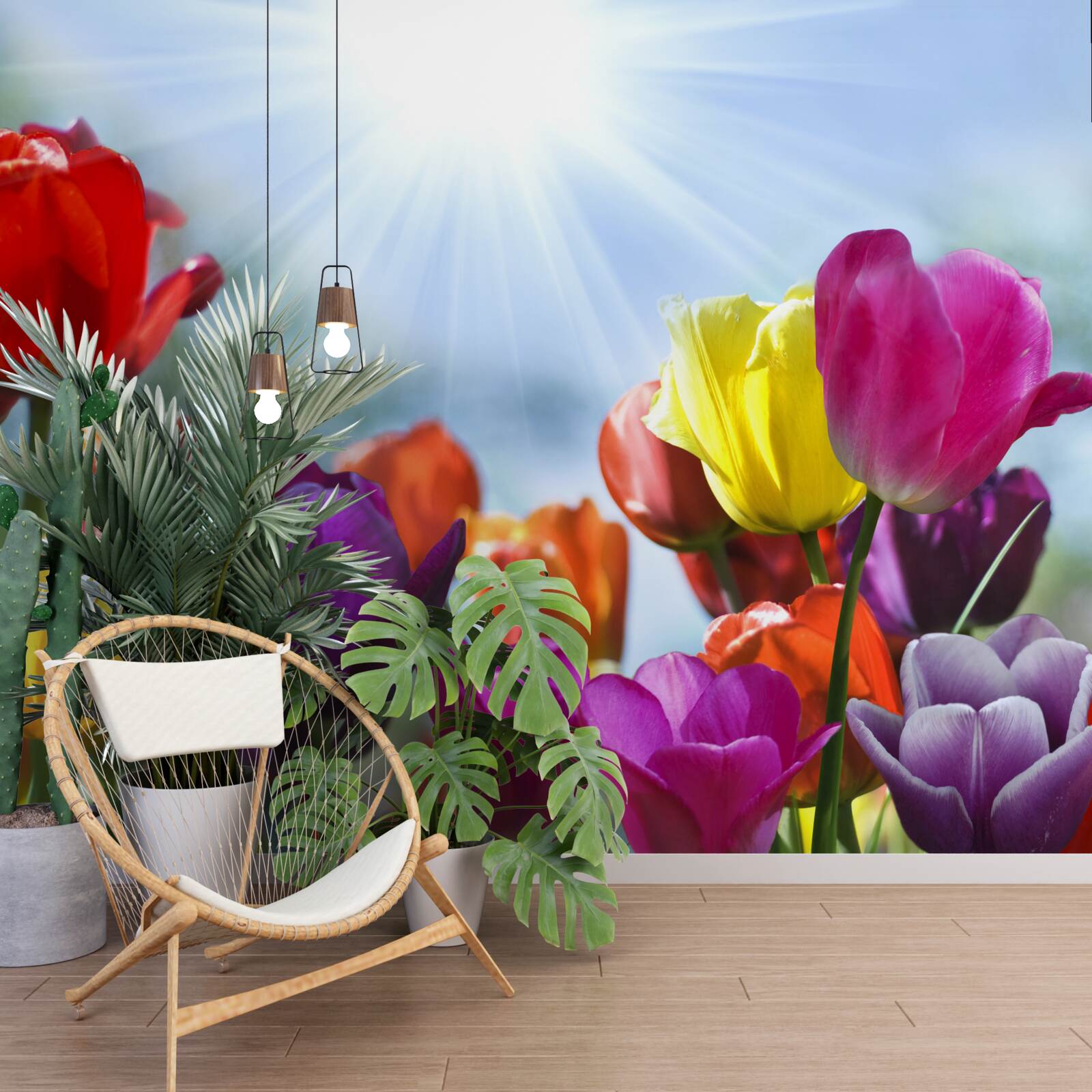 Fototapeta tulipany w różnych kolorach w słońcu