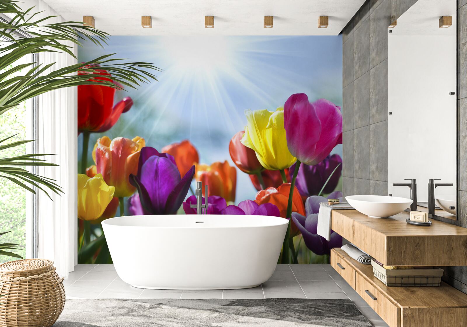 Fototapeta tulipany w różnych kolorach w słońcu