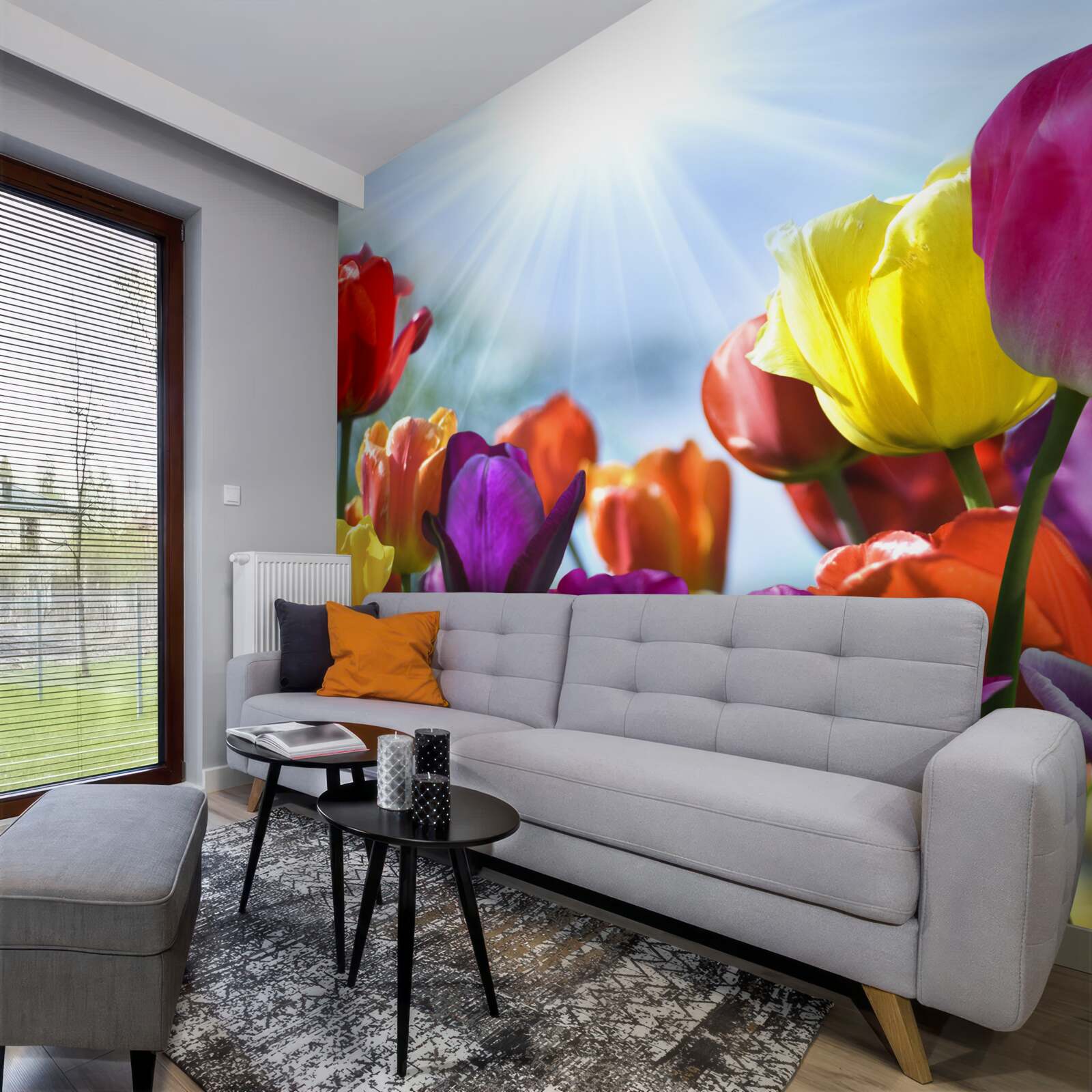 Fototapeta tulipany w różnych kolorach w słońcu