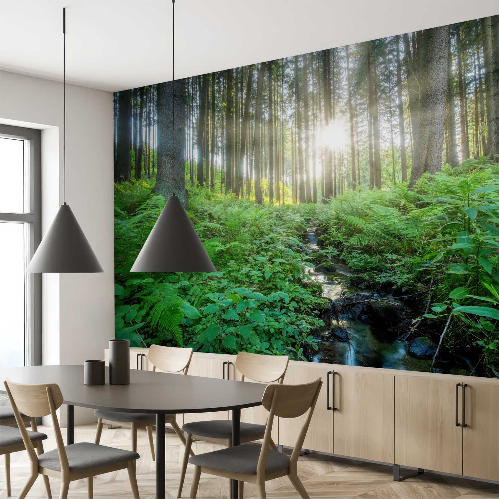 Fototapeta promienie słońca przenikają przez gęsty las