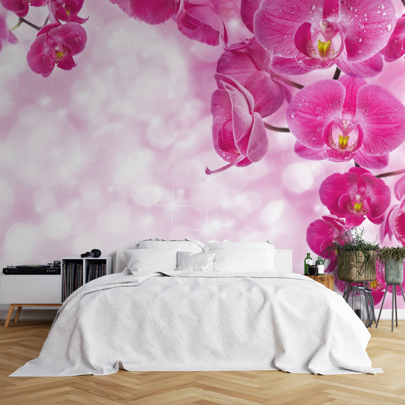 Fototapeta orchidea o delikatnym liliowym odcieniu
