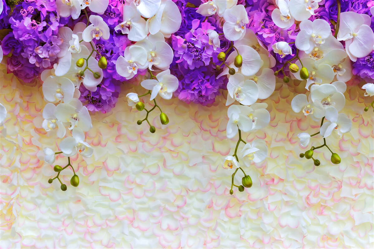 Fototapeta Śnieżnobiałe orchidee i kwiaty bzu