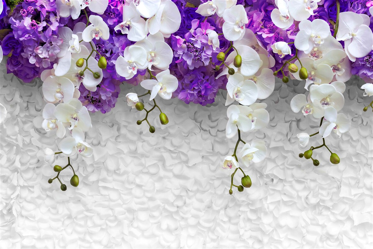 Fototapeta bariera fioletowych roślin i białej orchidei