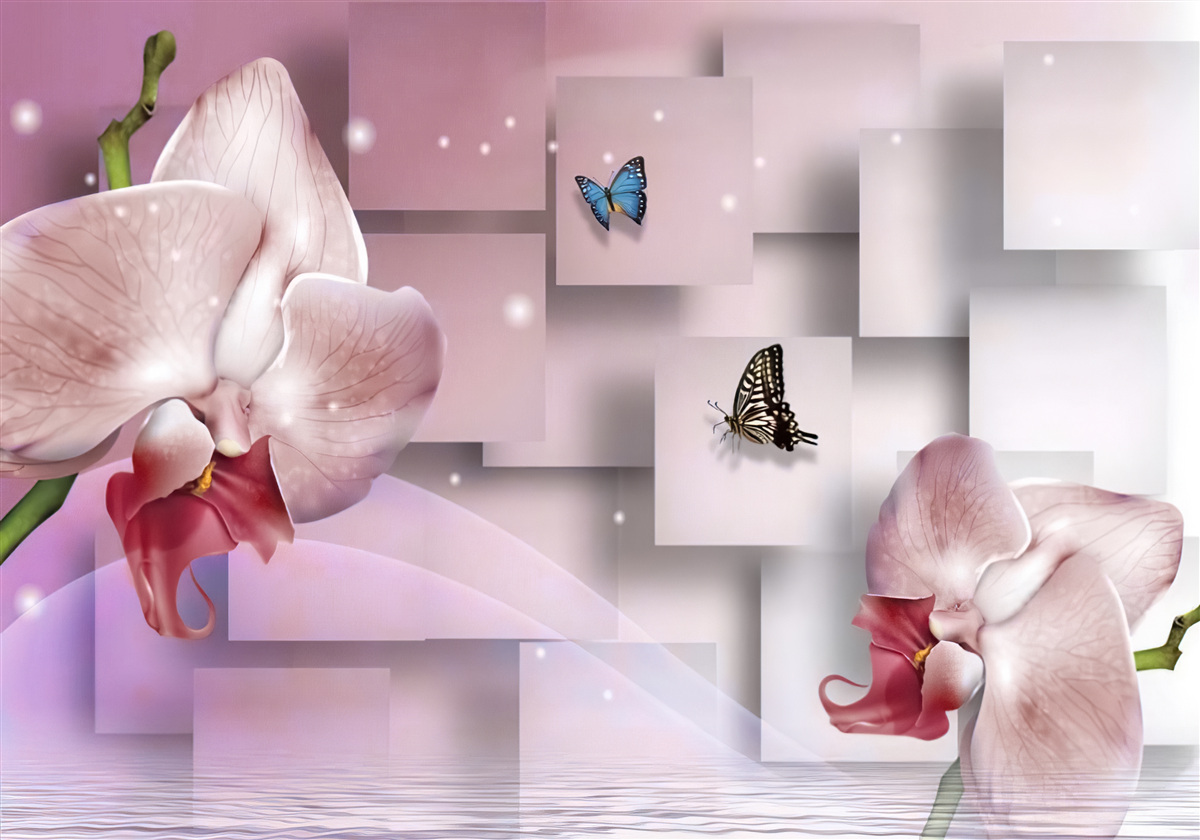Fototapeta jaskrawo kolorowe motyle i orchidee