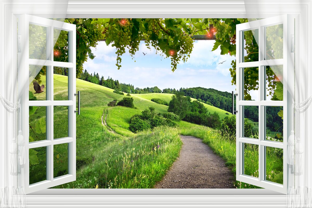 Fototapeta panoramiczny letni widok z okna