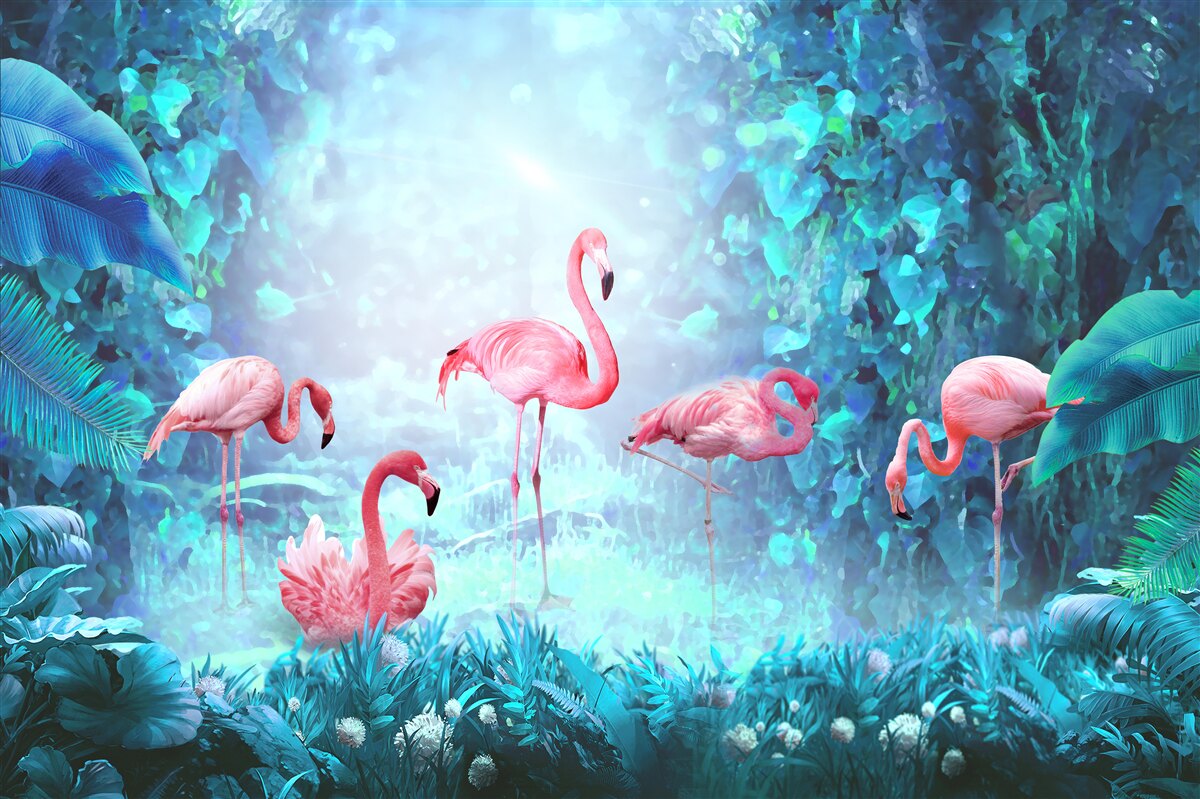 Fototapeta różowe flamingi w nocnych wodach