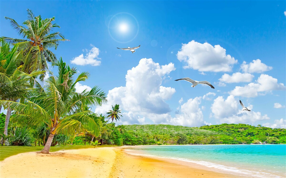 Fototapeta morze i plaża są piękne