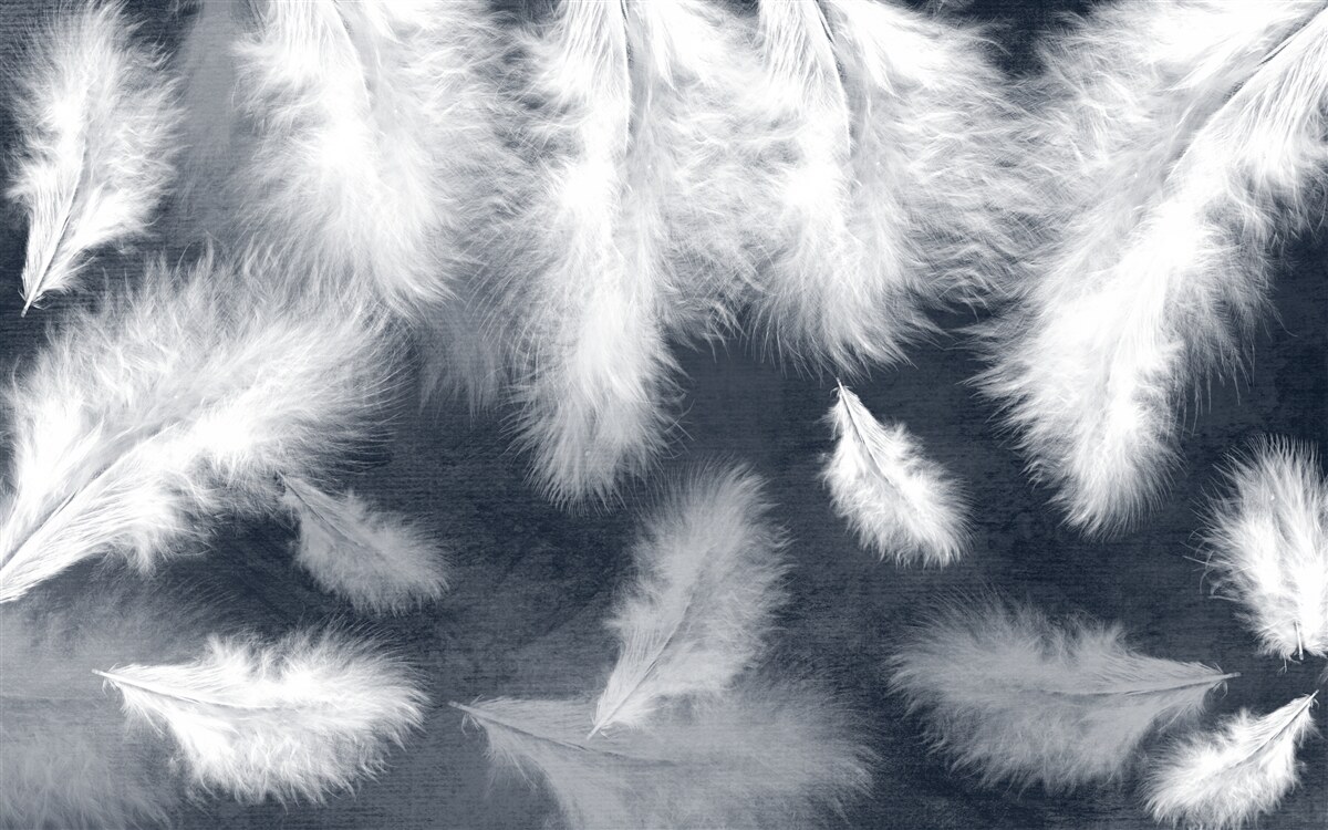 Fototapeta gęste pływające pióra