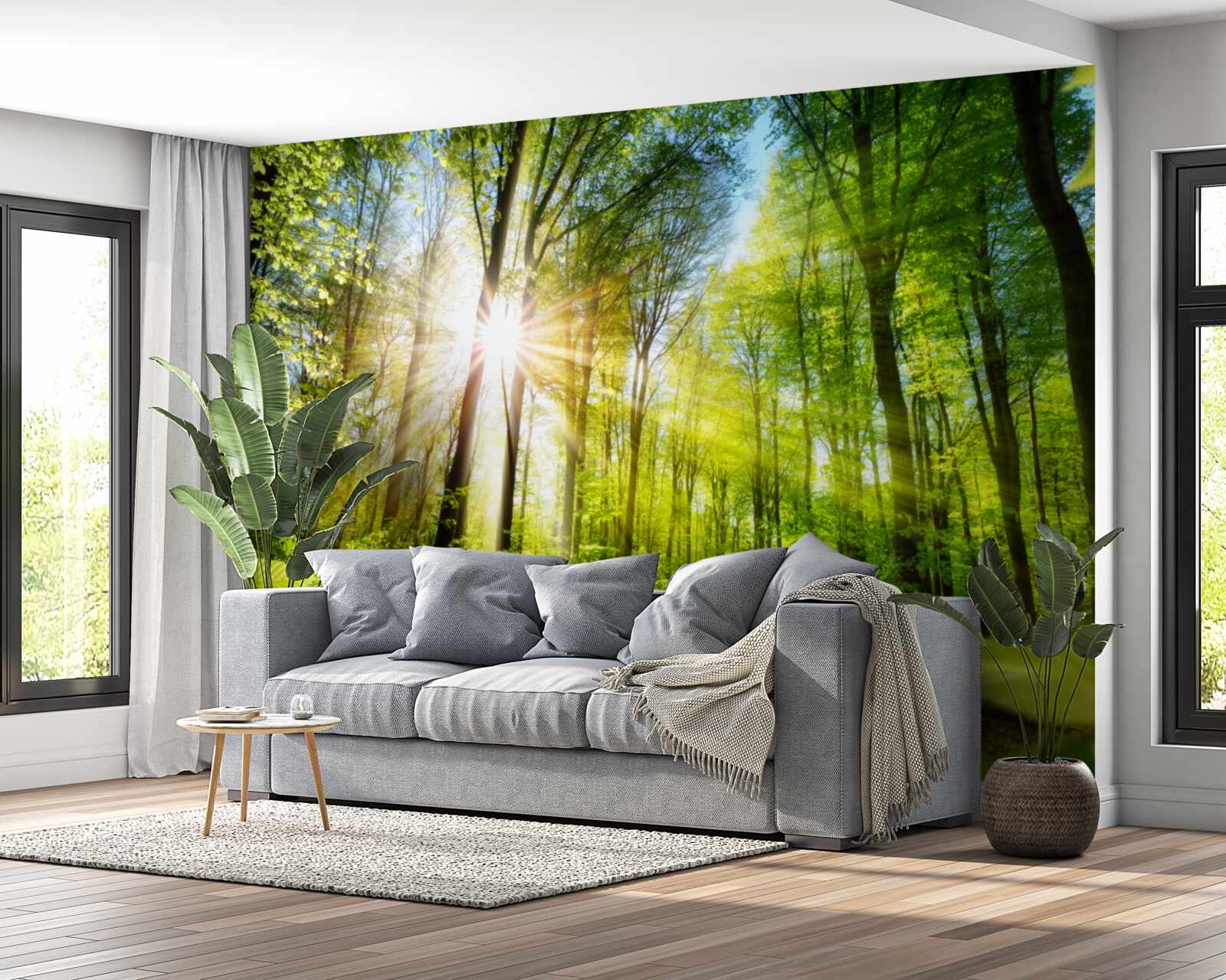 Fototapeta las oświetlony słońcem