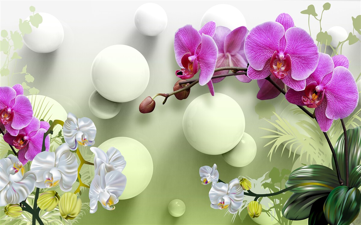 Fototapeta liliowa orchidea
