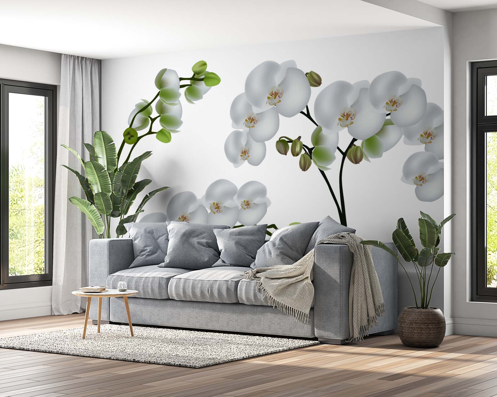 Fototapeta biała orchidea z zielonymi liśćmi