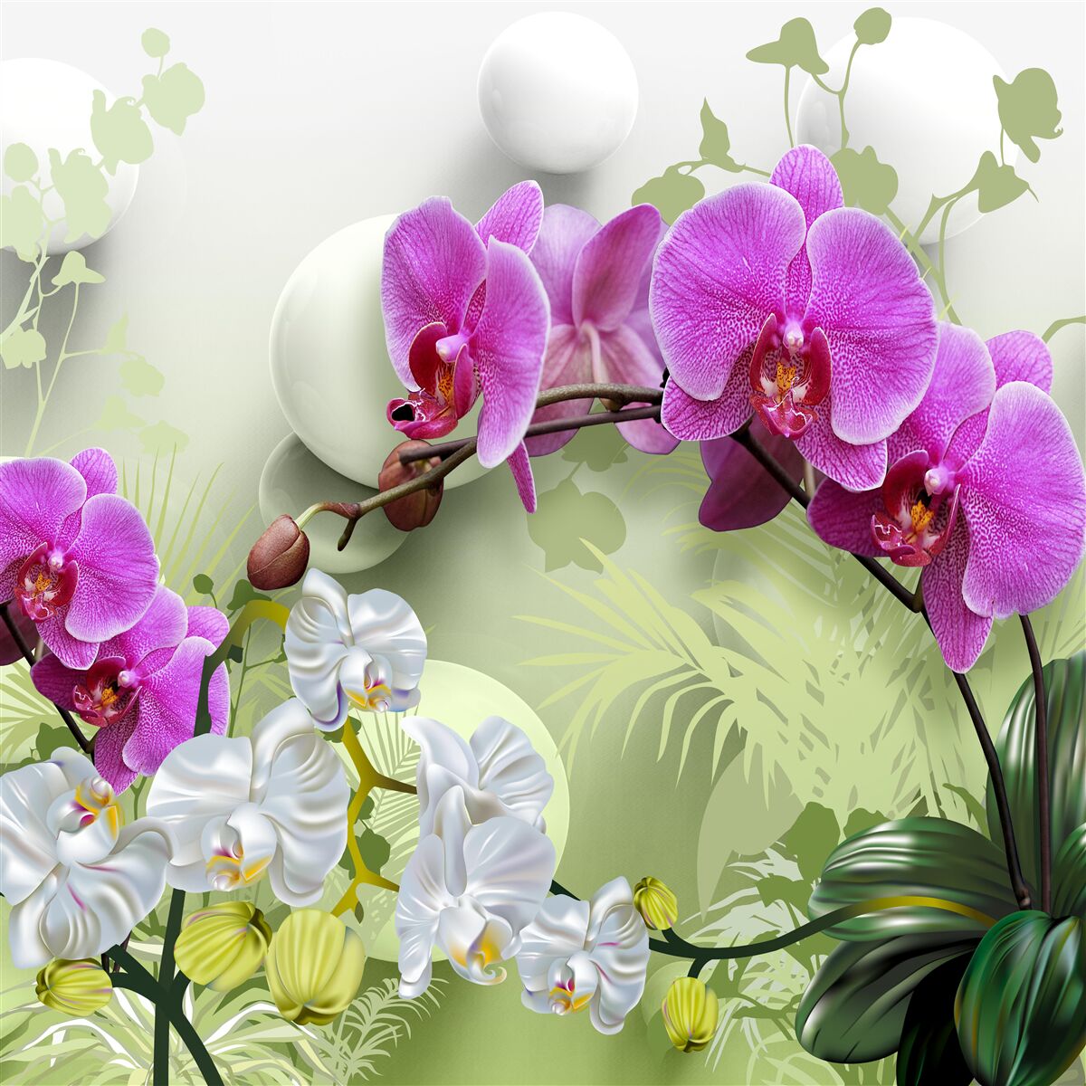 Fototapeta fioletowa orchidea na gałęziach