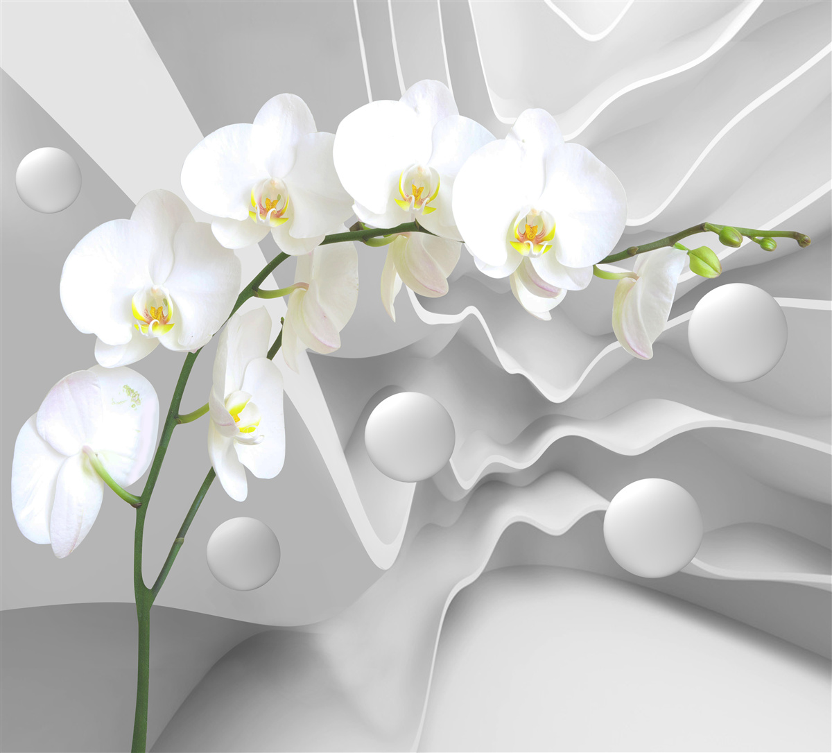 Fototapeta abstrakcja pełnej wdzięku białej orchidei