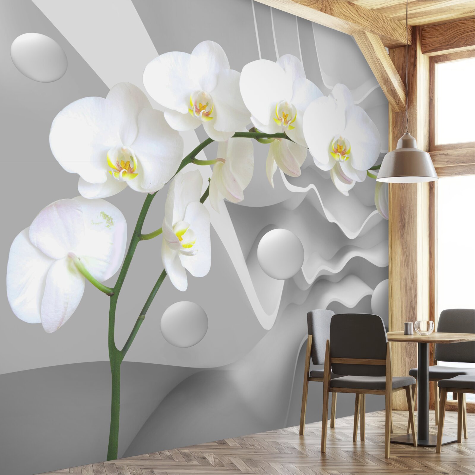 Fototapeta abstrakcja pełnej wdzięku białej orchidei