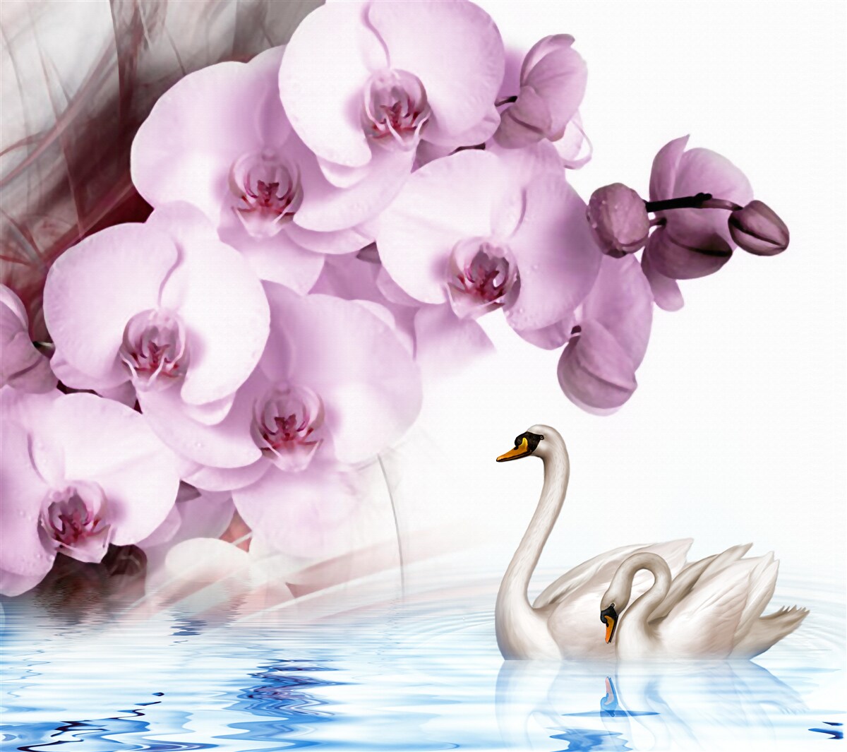 Fototapeta łabędzie na powierzchni wody i delikatny kwiat liliowej orchidei
