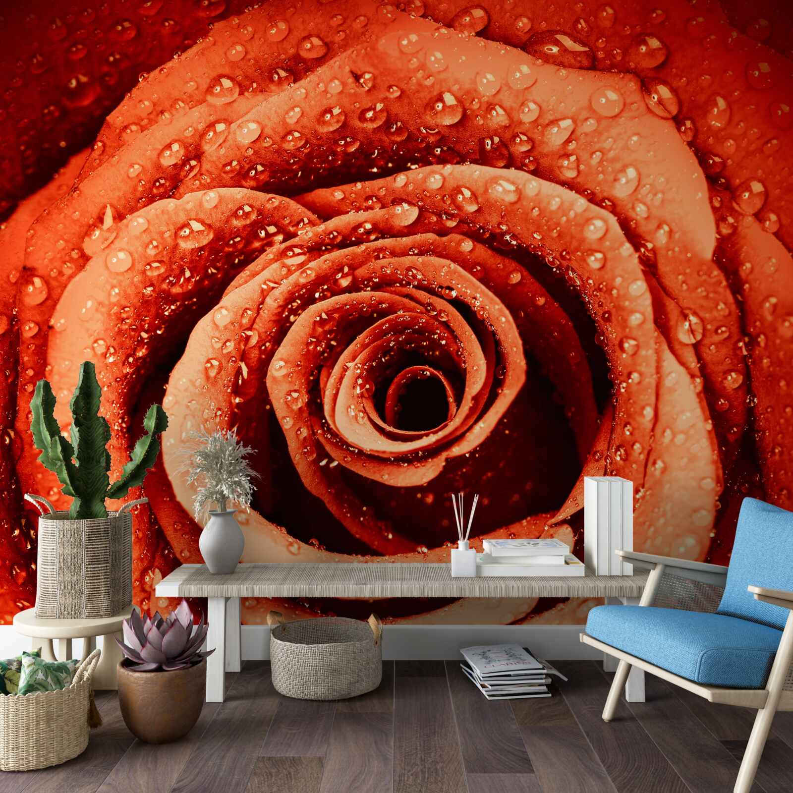 Fototapeta krople rosy na szkarłatnym płatku róży