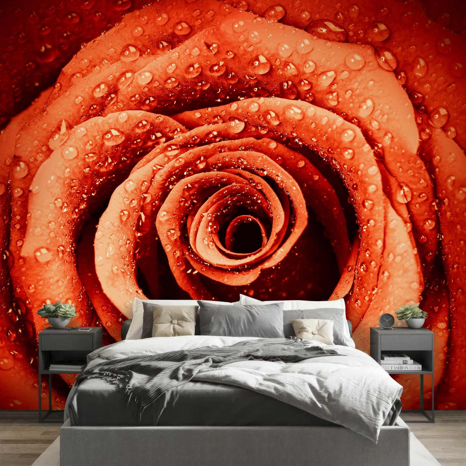 Fototapeta krople rosy na szkarłatnym płatku róży