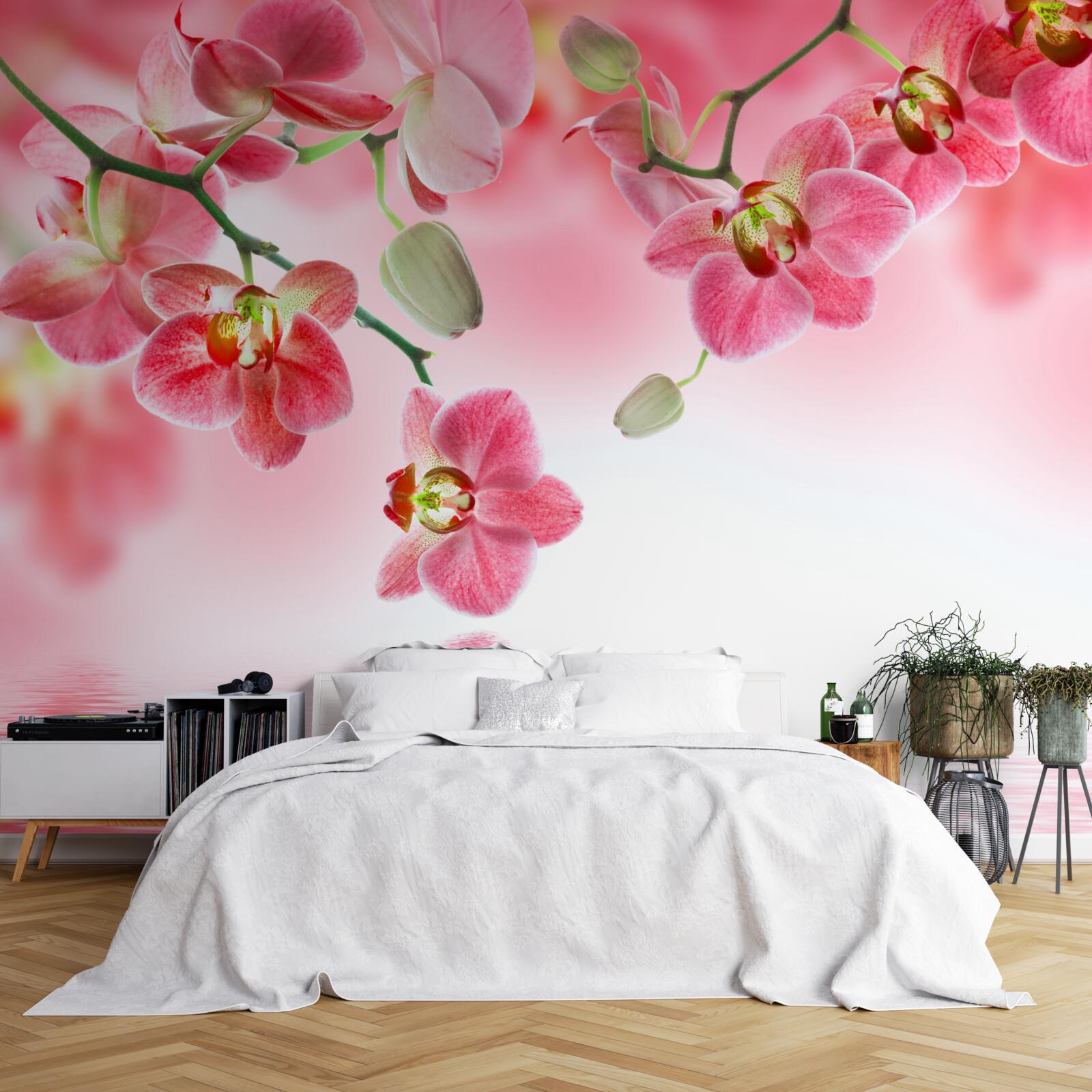 Fototapeta nad wodą wisi czerwona orchidea na drzewie