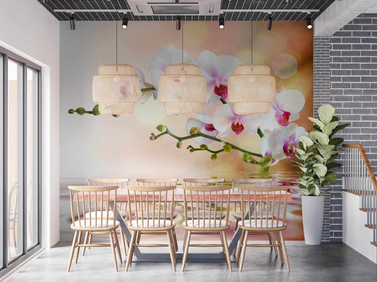 Fototapeta gałąź białej orchidei odbita w wodzie
