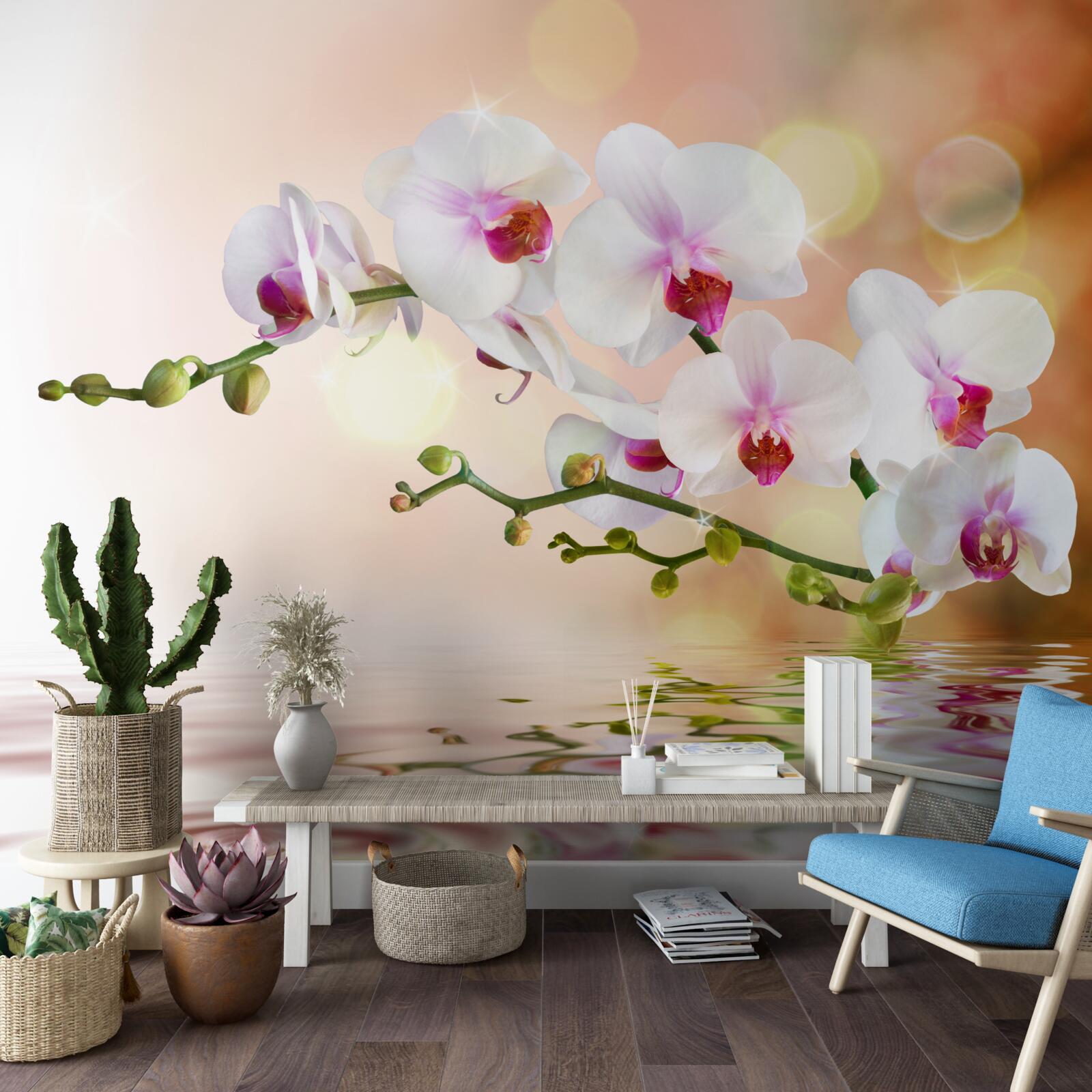 Fototapeta gałąź białej orchidei odbita w wodzie
