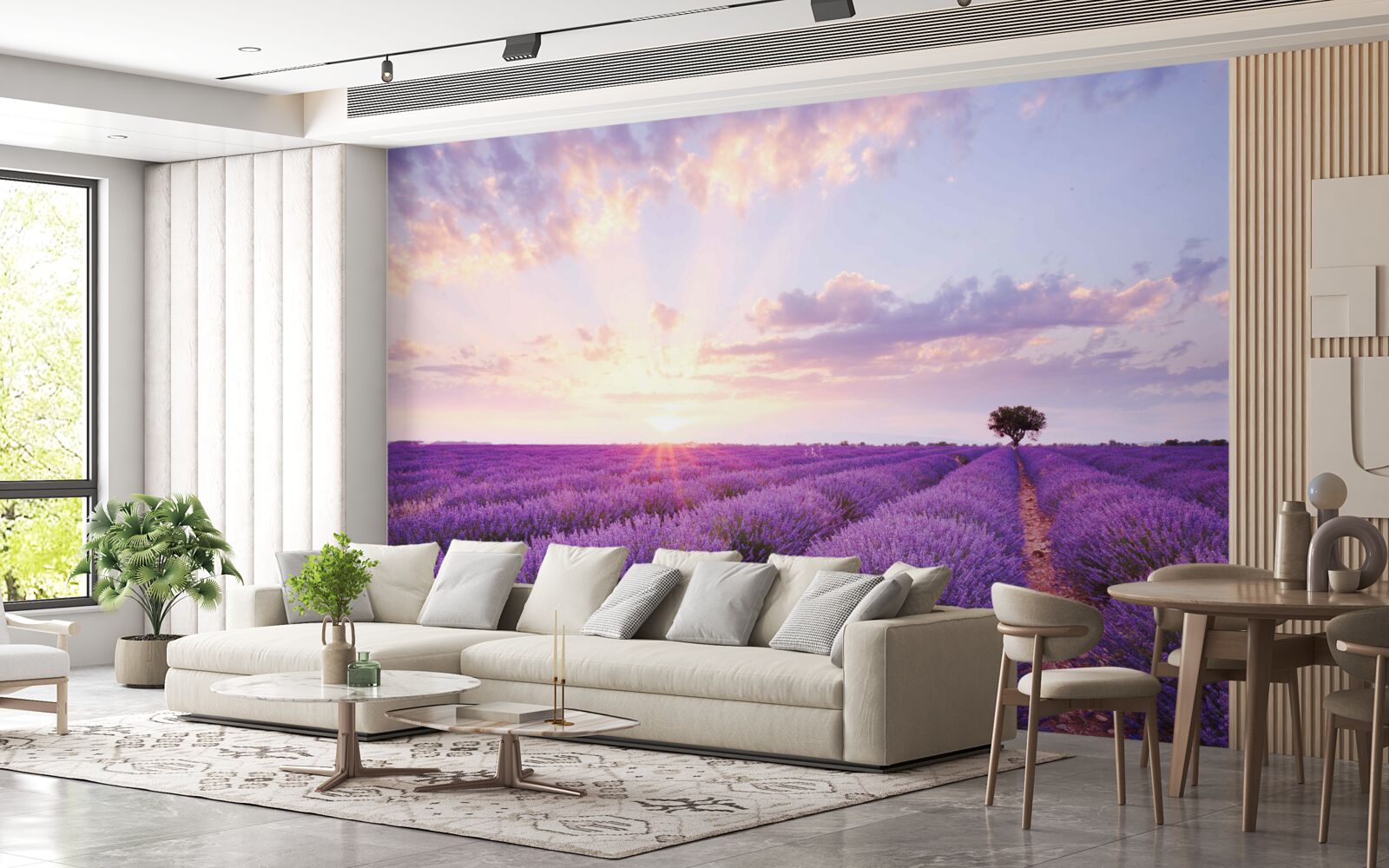 Fototapeta pole lawendy wypełnione aromatem