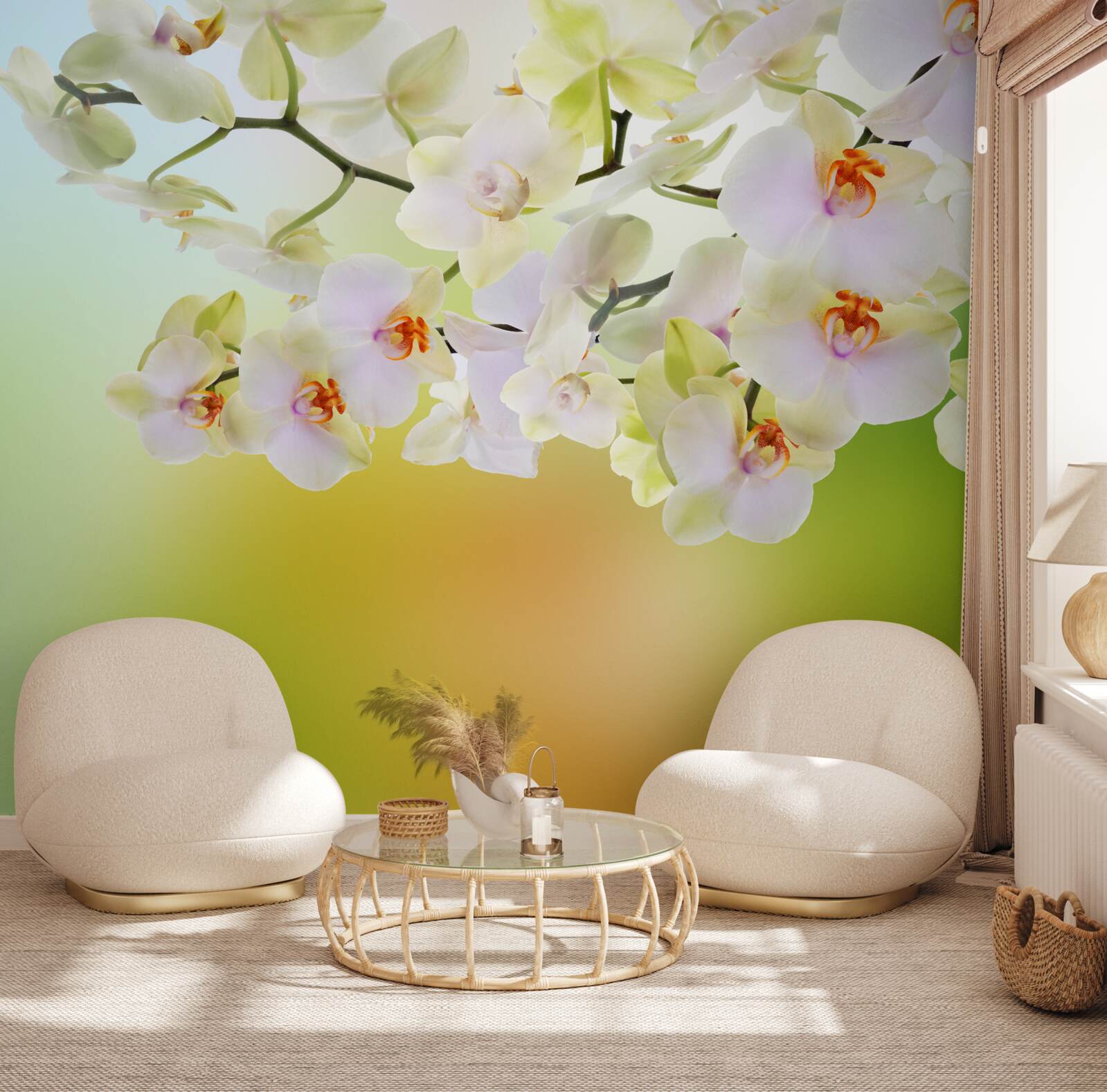 Fototapeta duże białe orchidee na łodydze