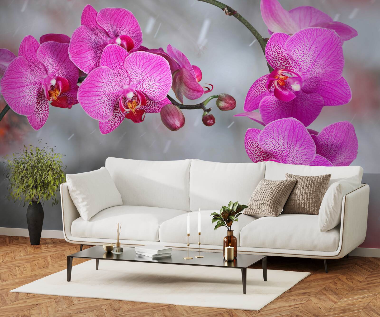 Fototapeta w deszczu kwitną różowe orchidee