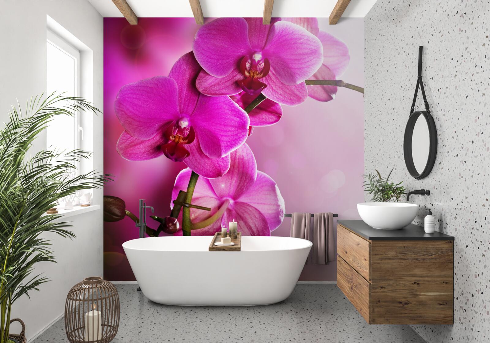 Fototapeta pełna wdzięku gałąź liliowej orchidei w słońcu