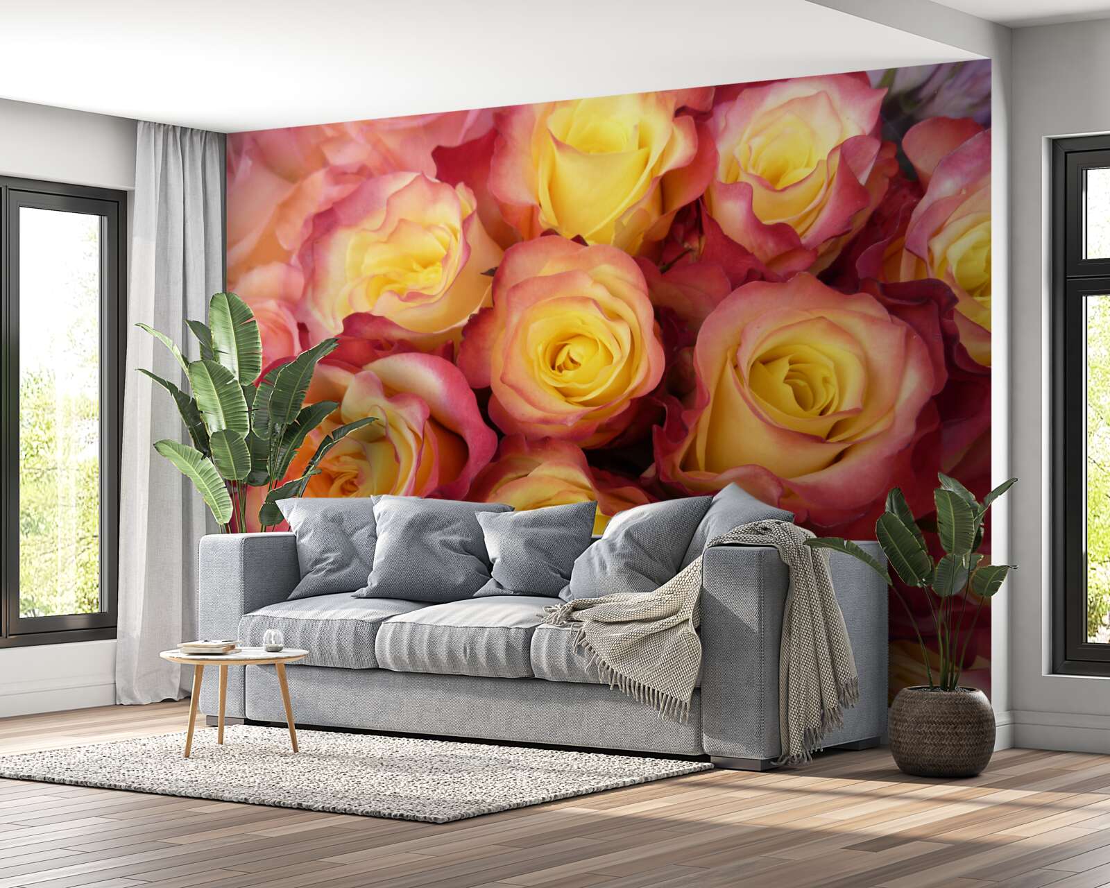 Fototapeta różowe tulipany z żółtym środkiem