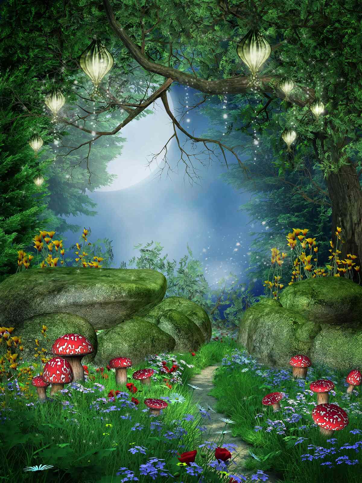 Fototapeta magiczna nocna ścieżka