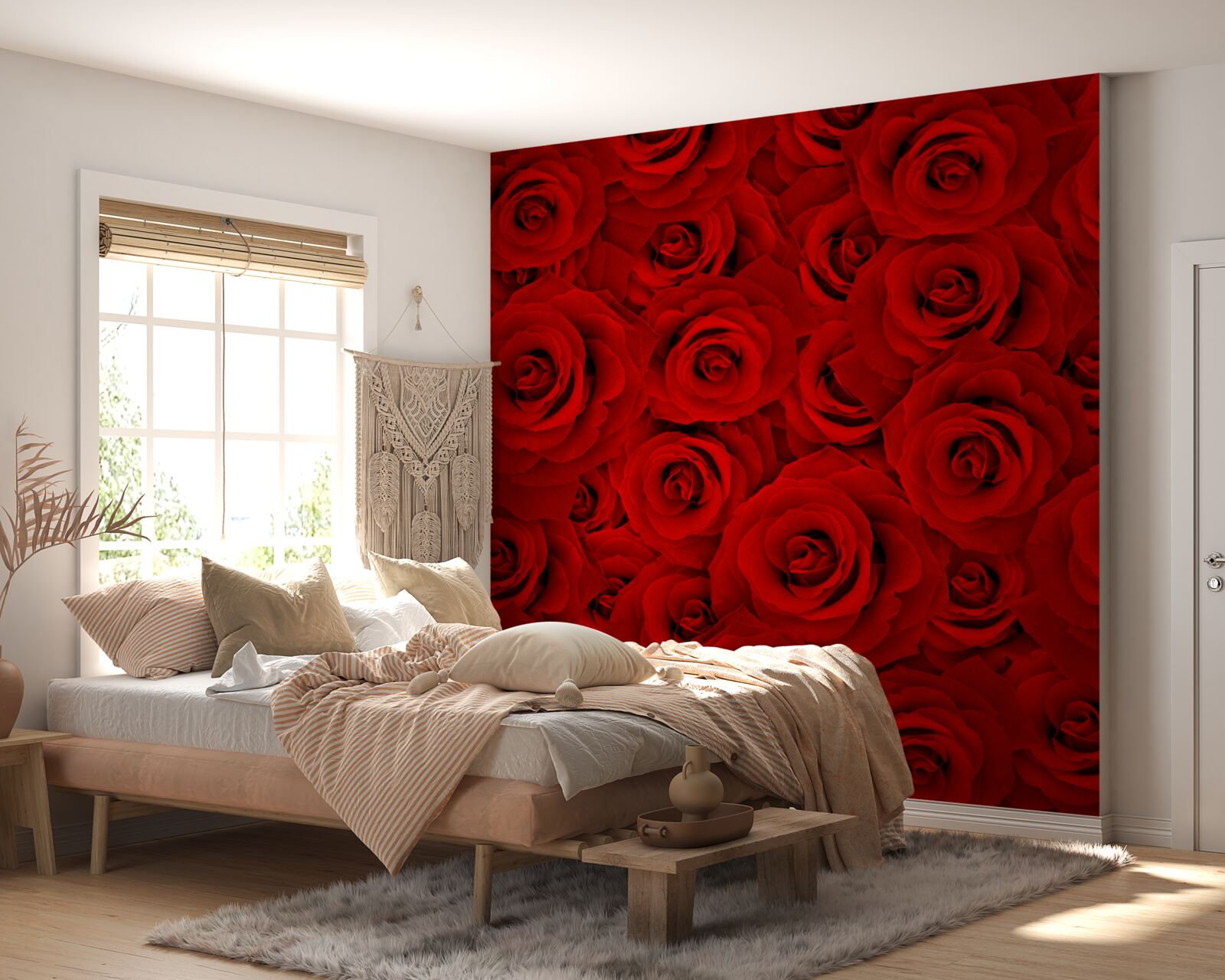 Fototapeta wiele czerwonych róż