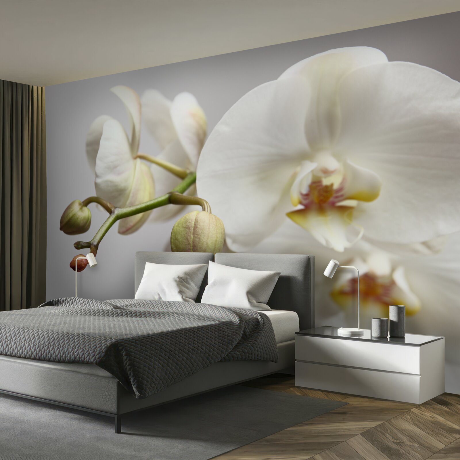 Fototapeta gałąź białej orchidei z kwitnącymi kwiatami i niewyrośniętymi pąkami
