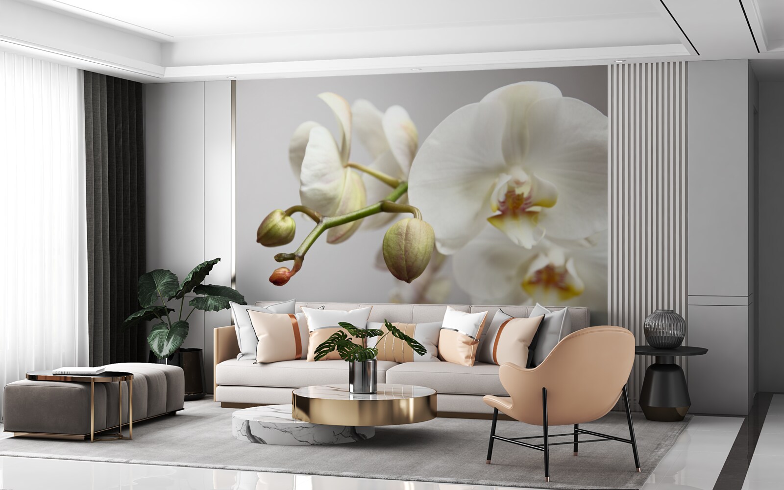 Fototapeta gałąź białej orchidei z kwitnącymi kwiatami i niewyrośniętymi pąkami
