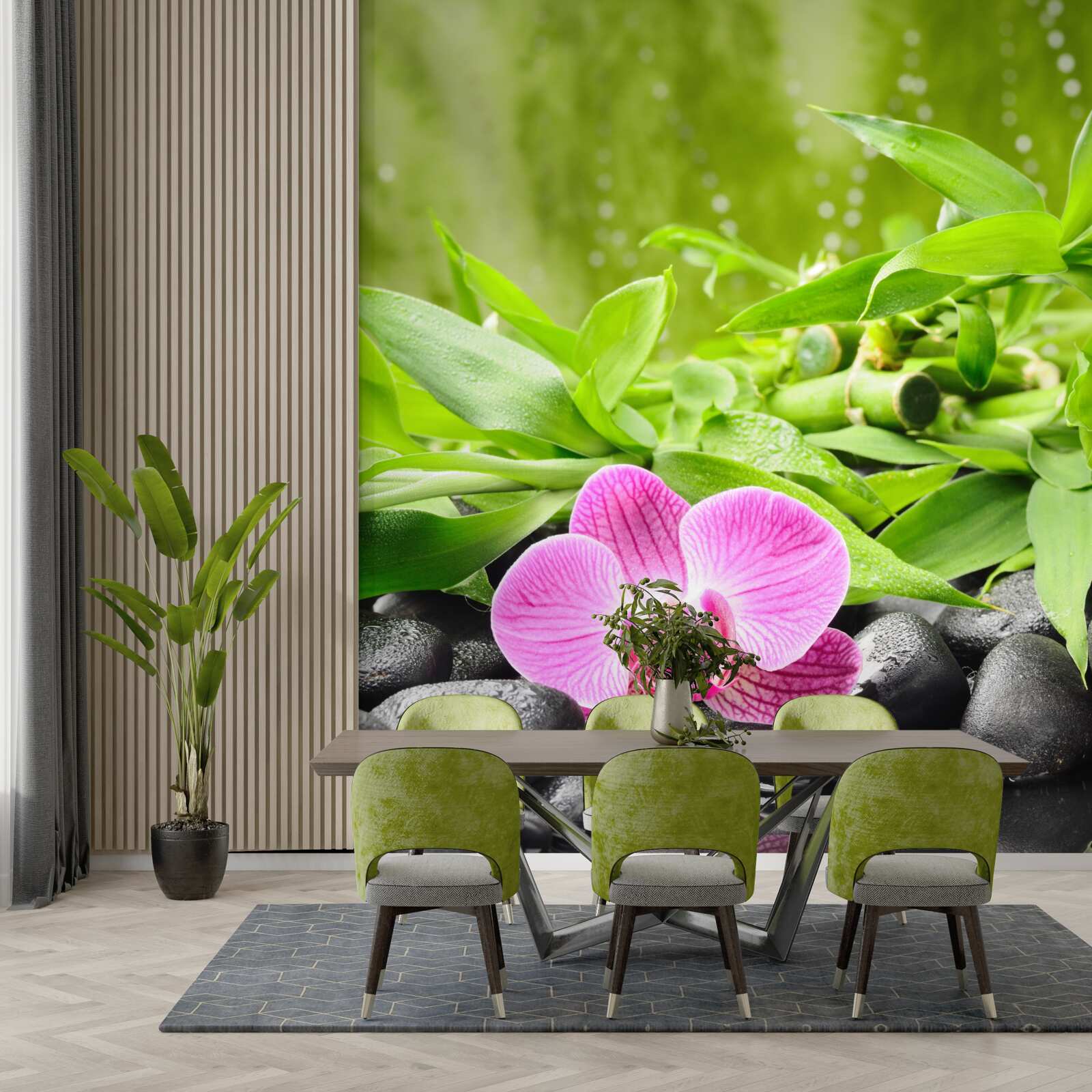 Fototapeta orchidea z wdziękiem umieszczona na ciemnym kamieniu w pobliżu wody