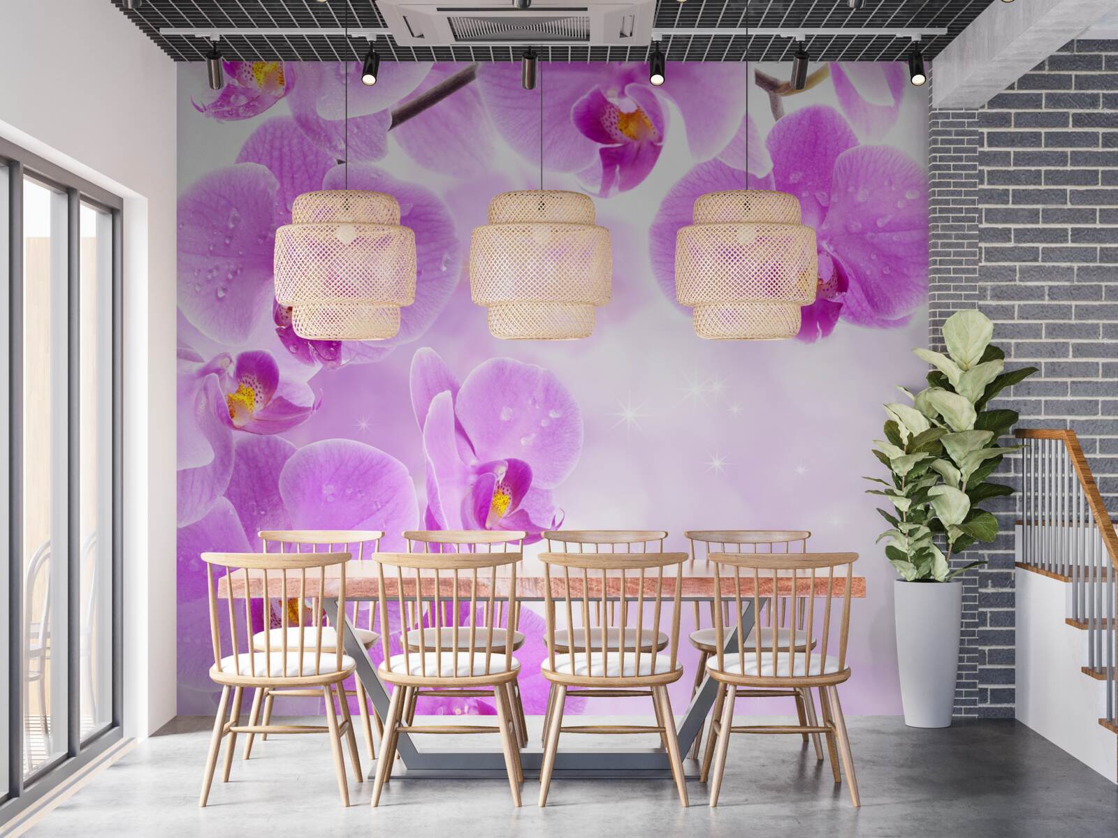 Fototapeta na gałęzi zakwitły duże fioletowe orchidee