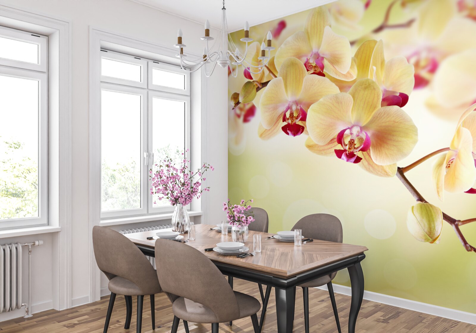 Fototapeta miękka kremowa orchidea z wdzięcznymi pąkami